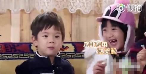 娱乐小葱花明星吃瓜,娱乐圈幕后真相曝光